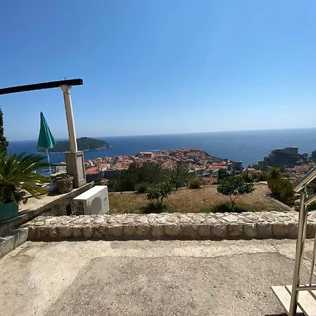 The View